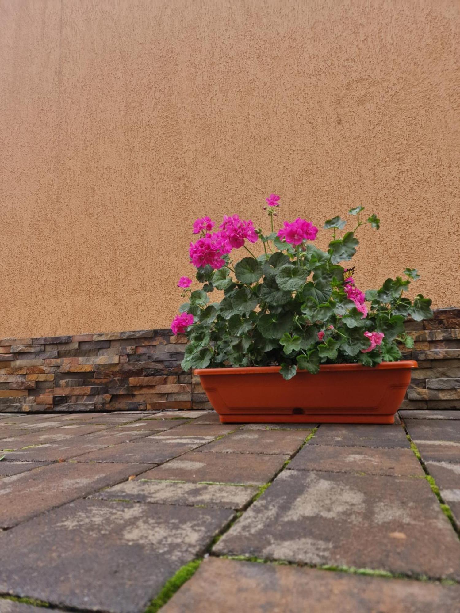 Apartamento Casa DARYA-24h Check-in Bucarest Exterior foto